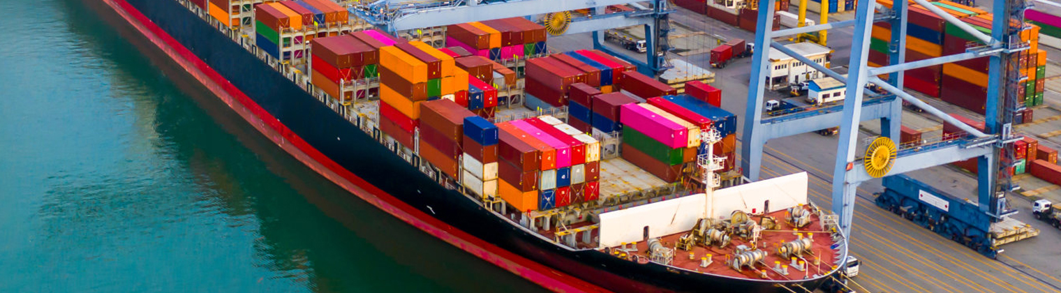 Express Shipping
